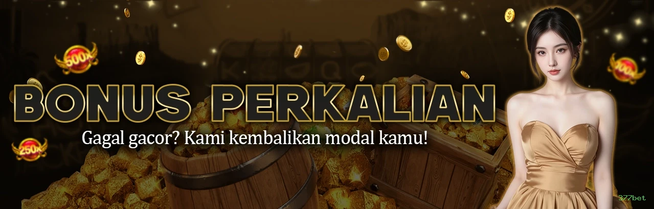 Interface Premium 377bet